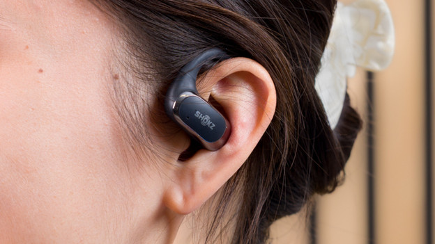 Ear hook