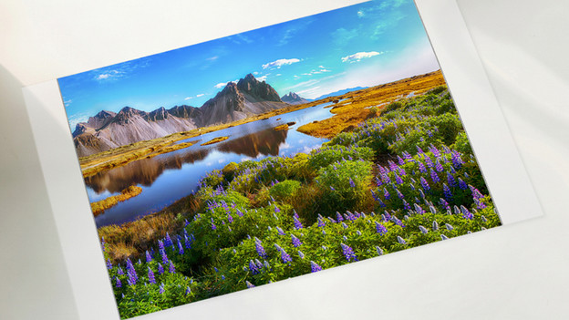 Cricut StickerPix Print : photos et autocollants prédécoupés