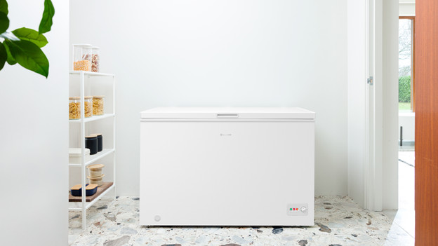 Diepvrieskist kiezen