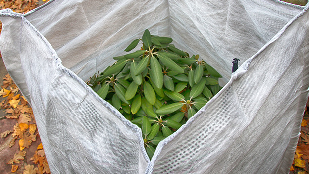 Buitenplanten beschermen tegen de winterkou