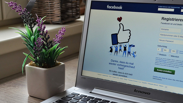 Laptop with Facebook open on desk with a plant in a pot beside it.