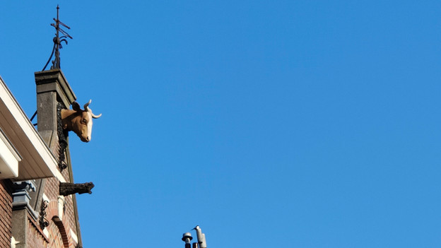 Téléobjectif de l'OPPO Find X3 Pro