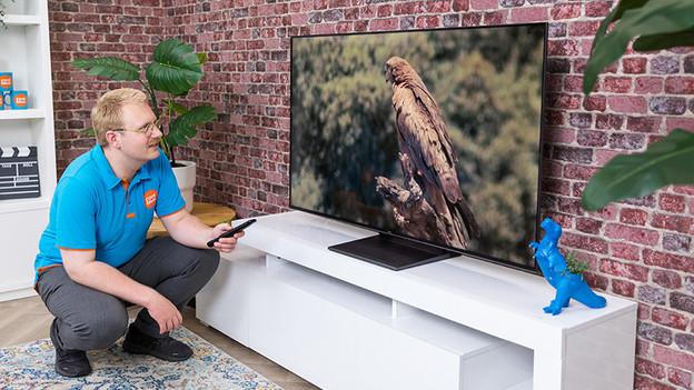 Angle de vision TCL C743