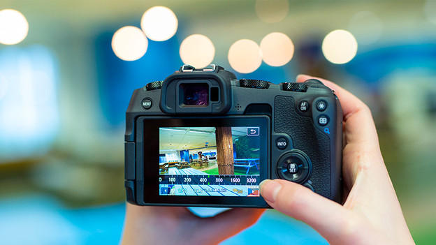 I want a professional mirrorless camera