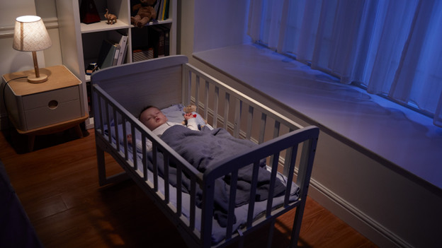 Ip-camera met terugspreekfunctie