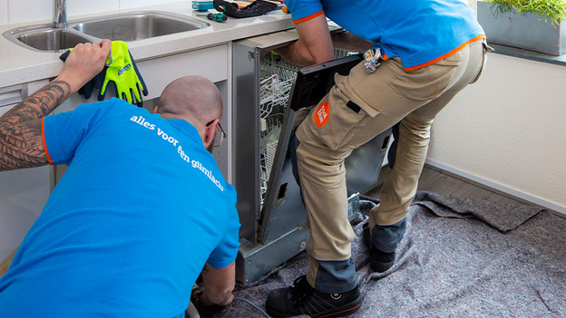 De achterpoten zijn niet altijd zichtbaar