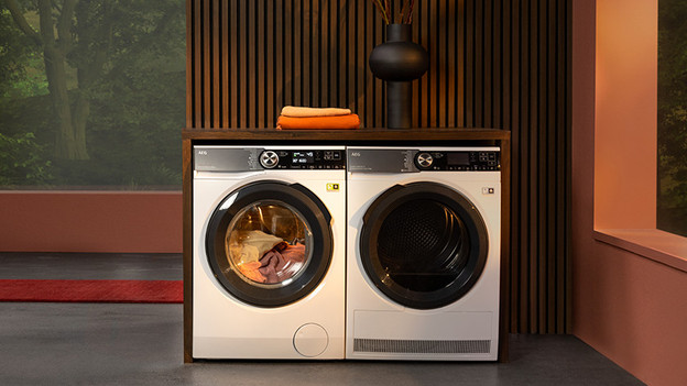 AEG EcoLine wasmachine en droger
