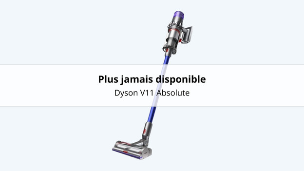 Aspirateur-balai Dyson