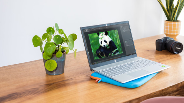 Laptops for graphic design