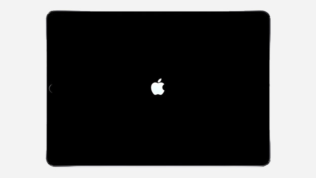 The iPad reboots after a soft reset.