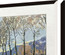 TCL Frame Black 65 inches