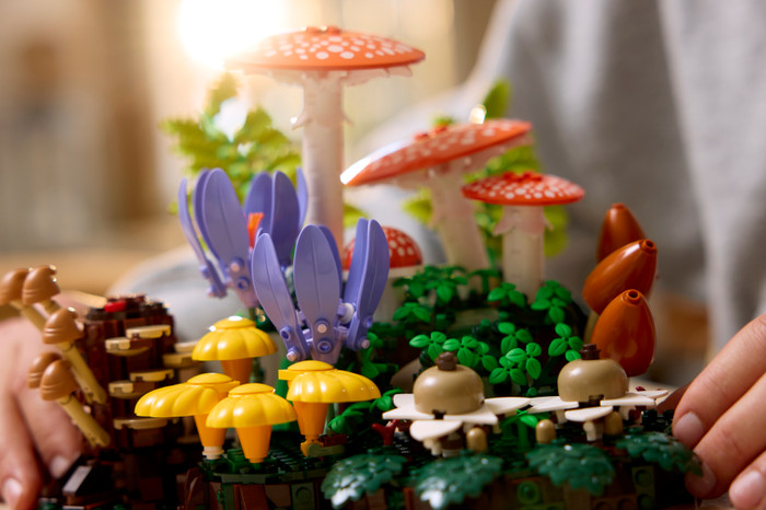 LEGO Botanicals Bospaddenstoelen 11505 product in gebruik