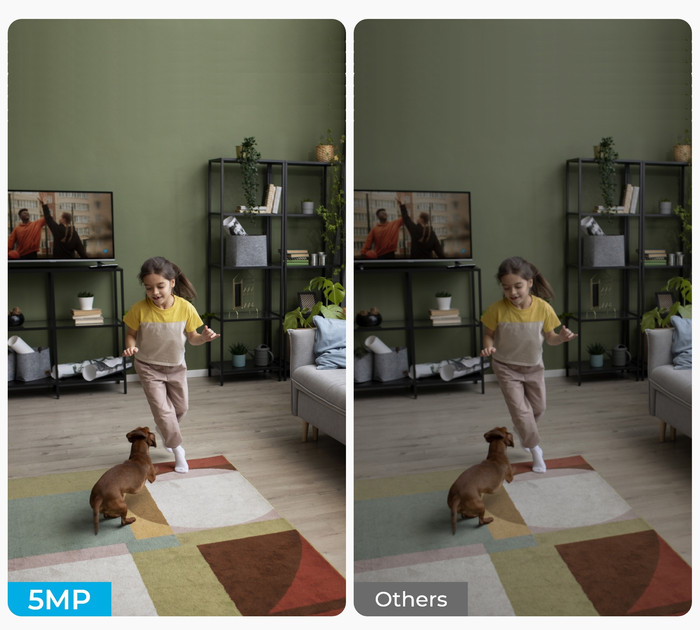 Reolink E331 Duo Pack visual leverancier