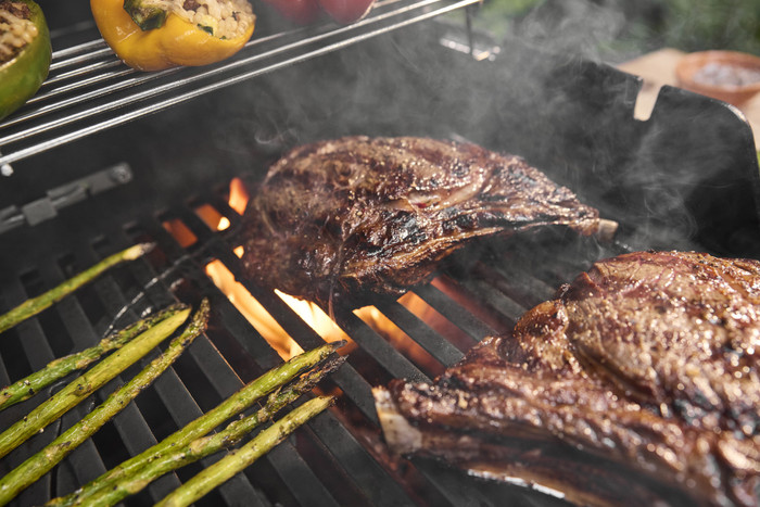 Weber Spirit E-310 Zwart product in gebruik