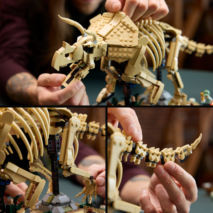 LEGO Jurassic World Dinosaurusfossielen: Triceratops 77985 product in gebruik