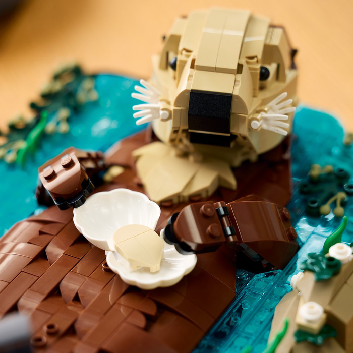 LEGO Ideas Drijvende Otters 21366 product in gebruik