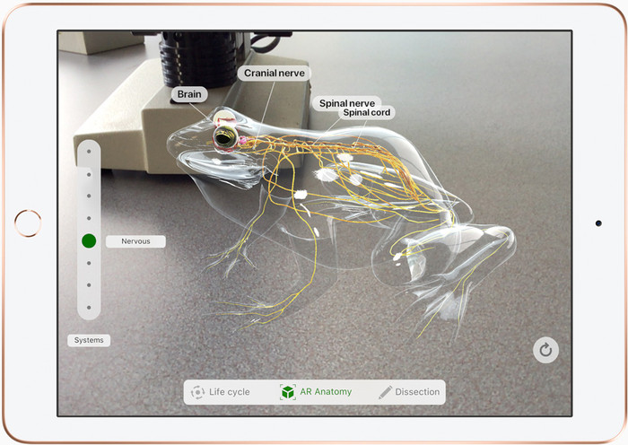 Apple Pencil 1 (2022) null