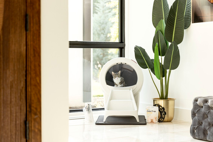 Whisker Automatische kattenbak Litter-Robot 4 Wit product in gebruik