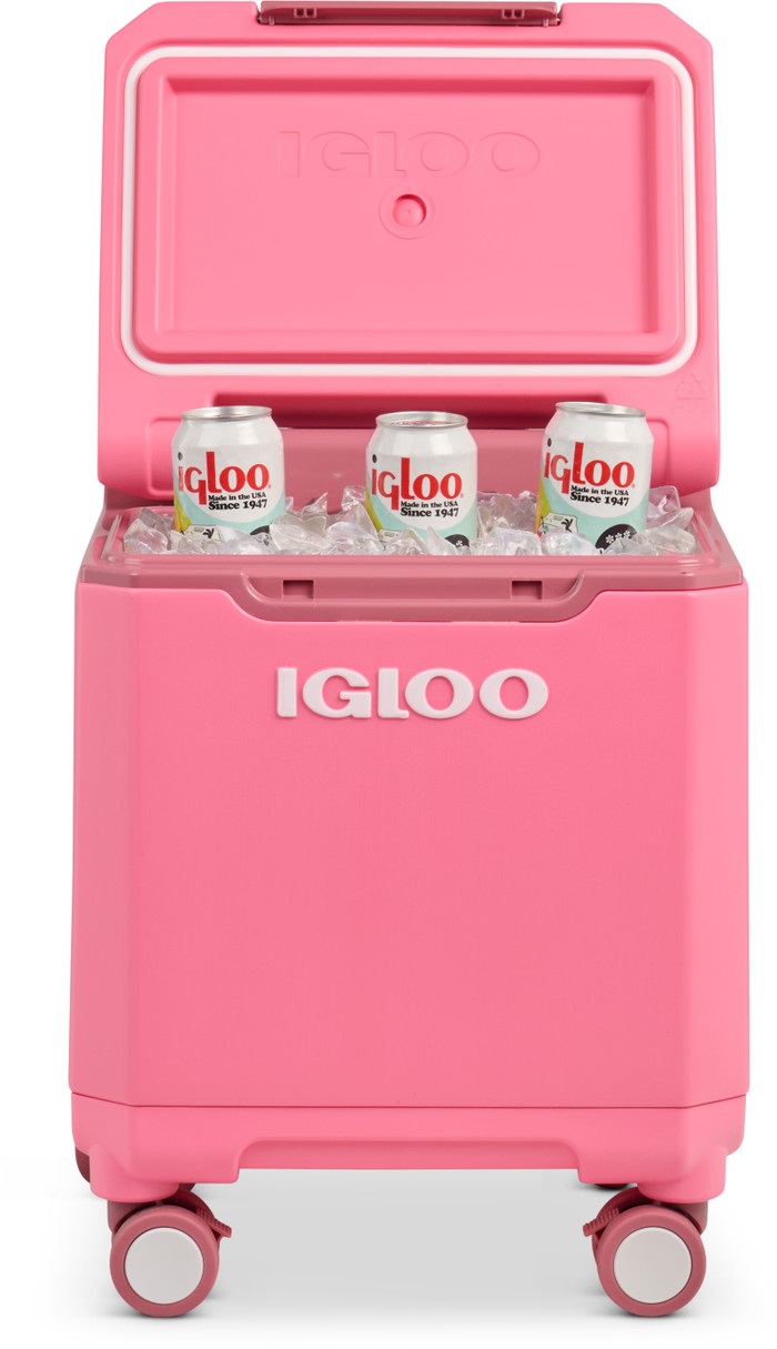 Igloo Tag a long2 Spinner 360 Pink voorkant