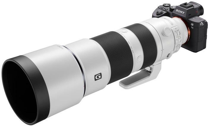 Sony FE 200-600mm f/5.6-6.3 G OSS product in use
