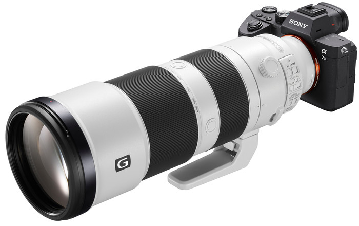 Sony FE 200-600mm f/5.6-6.3 G OSS product in use