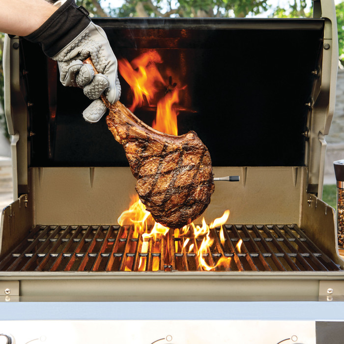 Ninja ProChef WP100EU product in gebruik