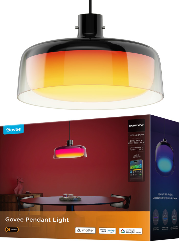 Govee Pendant Light packaging