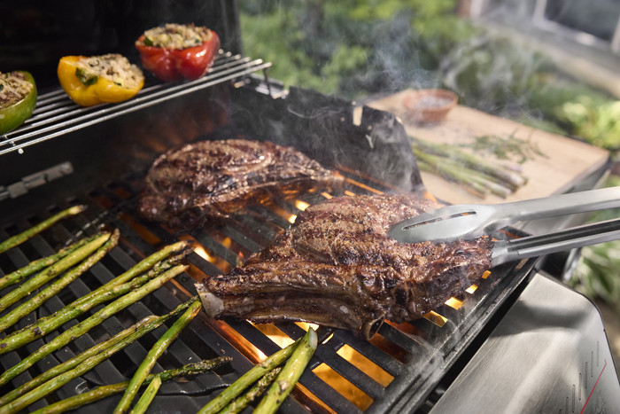 Weber Spirit E-310 Zwart product in gebruik