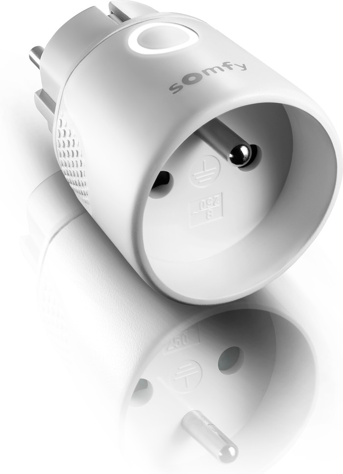 Somfy Plug IO (type E) Duo Pack null