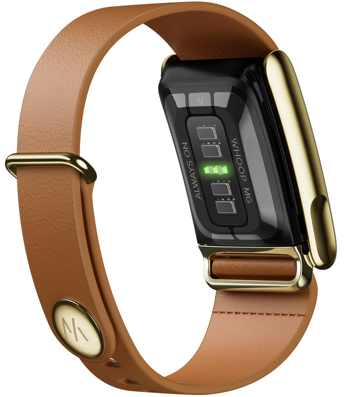 WHOOP MG LeatherLuxe Tapered Band Bruin/Goud S/M product in gebruik