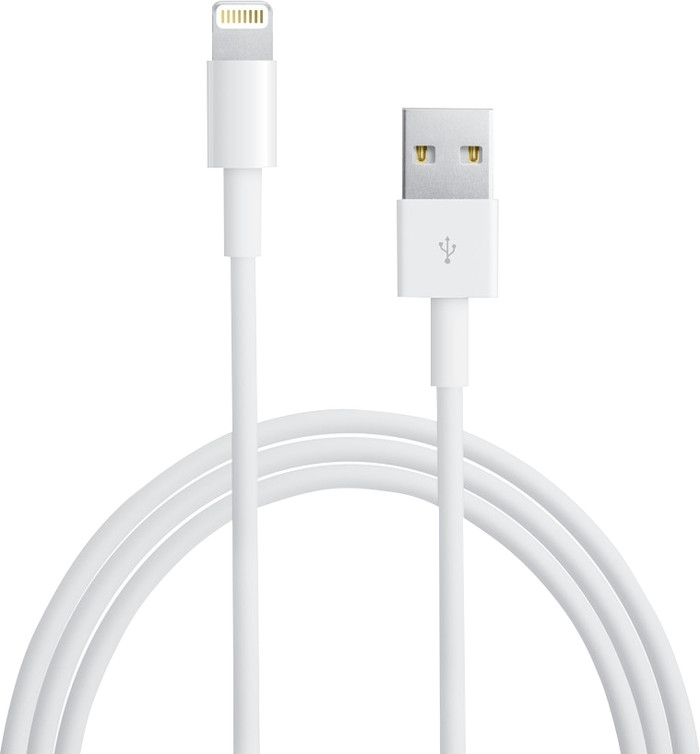 Apple Lightning to USB-A Cable 1m Main Image