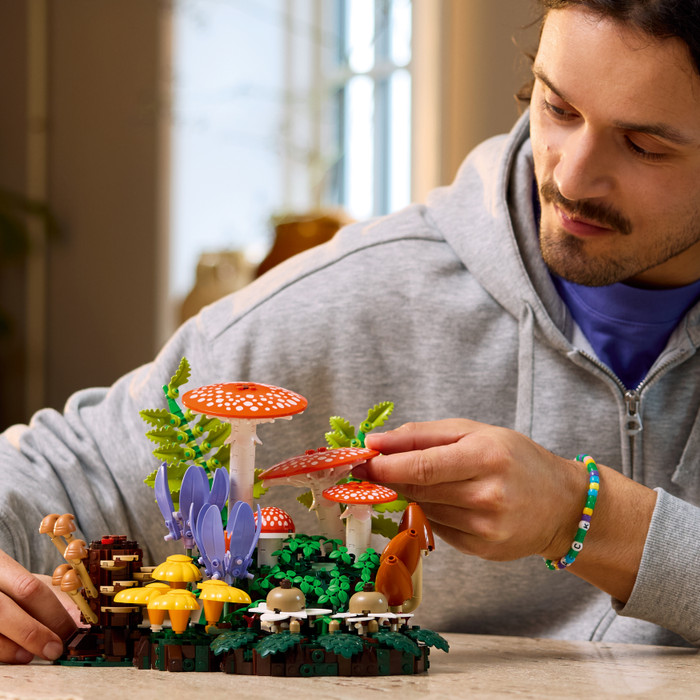 LEGO Botanicals Bospaddenstoelen 11505 product in gebruik