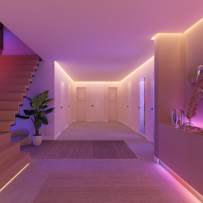 Philips Hue Flux Verlengkabel Buiten 5 meter visual leverancier