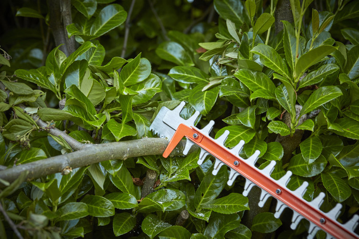 BLACK+DECKER BCHTS3625L1-QW product in use