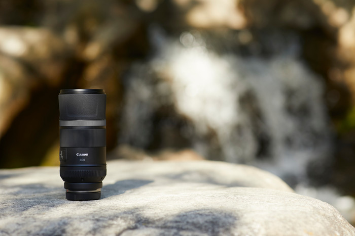 Canon RF 600mm f/11 IS STM null