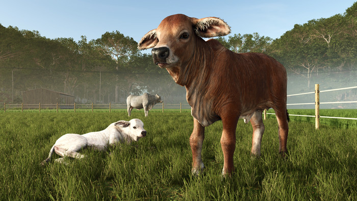 Farming Simulator 25: Beans & Alpacas Edition PS5 produit à l'usage