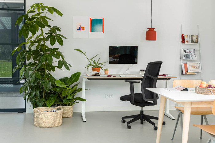 Ahrend Zest Desk Chair product in use