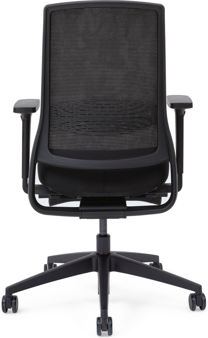 Gispen Zinn Smart NPR Desk Chair back