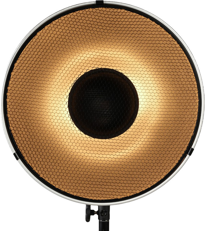 Nanlite BM40 Beauty Dish Reflector product in gebruik