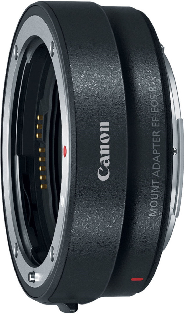 Canon EOS R6 Mark II + EF-EOS R Adapter null
