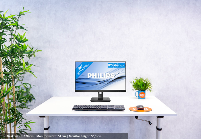 Philips 242B1G/00 null