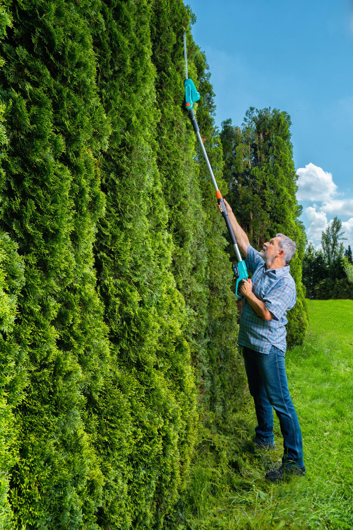 GARDENA THS 42/18V P4A solo (without battery) product in use