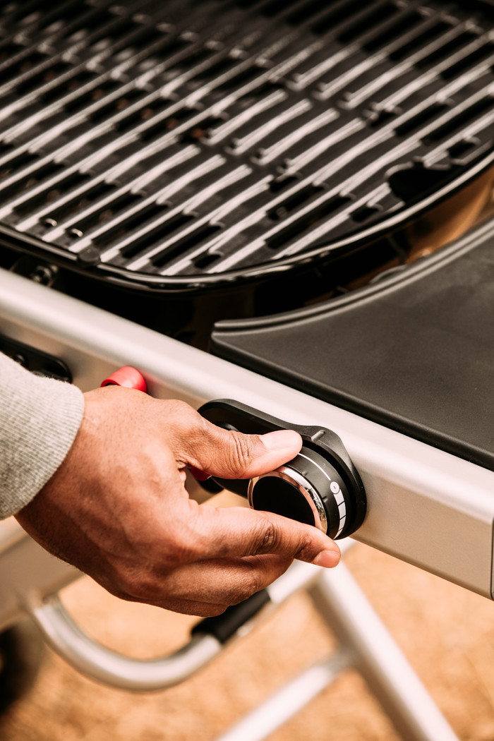 Weber Traveler null
