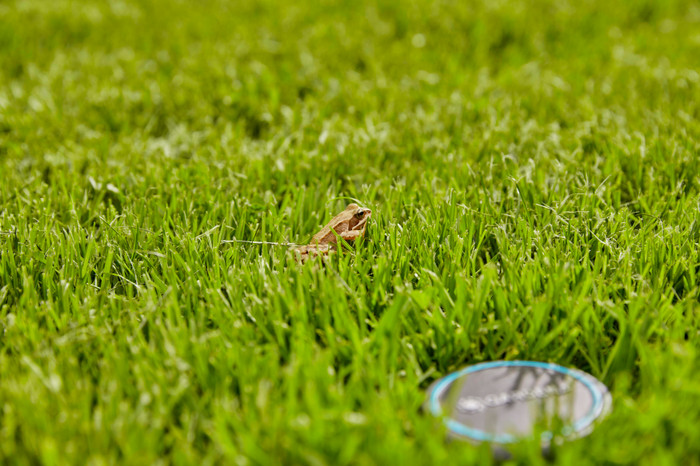 Gardena Capteur d'Humidité du Sol produit à l'usage