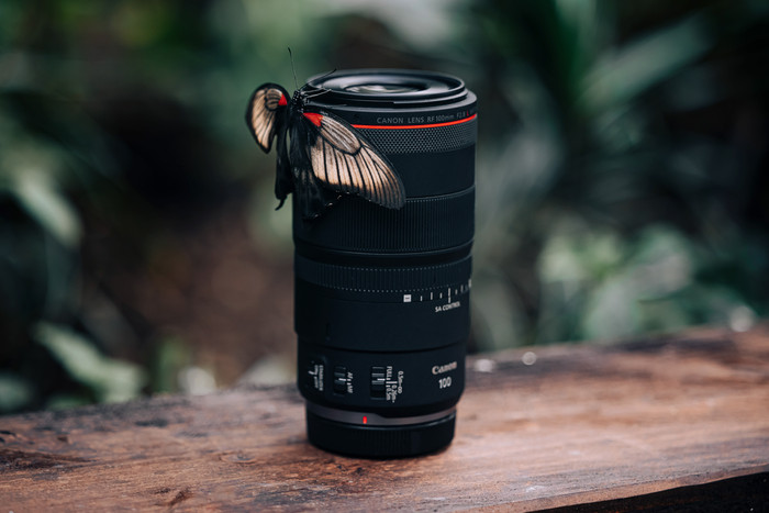 Canon RF 100mm f/2.8L Macro IS USM null