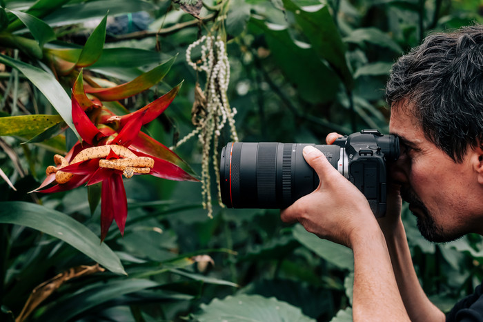 Canon RF 100mm f/2.8L Macro IS USM null