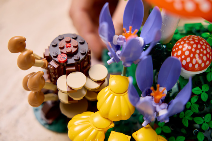 LEGO Botanicals Bospaddenstoelen 11505 product in gebruik