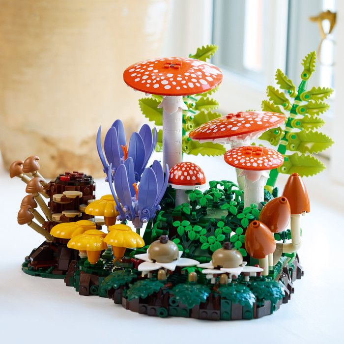 LEGO Botanicals Bospaddenstoelen 11505 product in gebruik
