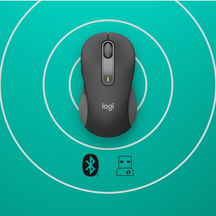 Logitech Signature M650 L Wireless Mouse Graphite visual supplier