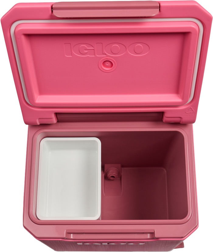Igloo Tag Along Too Spinner 360 Pink intérieur